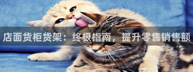 杏运平台登陆