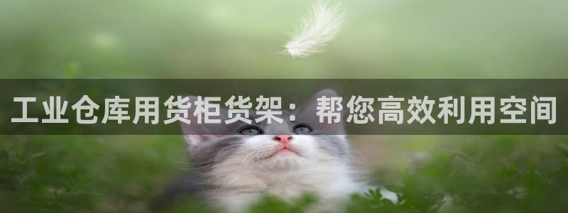 杏运平台代理