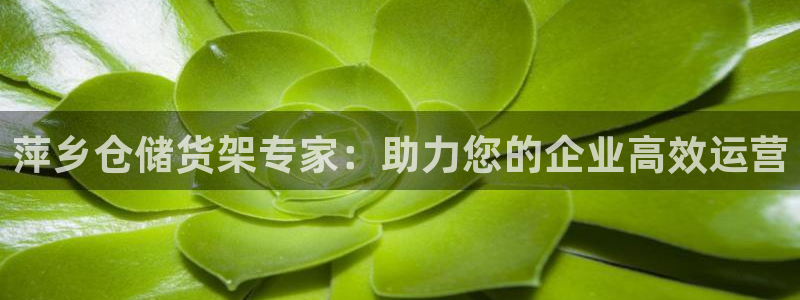 杏运体育app