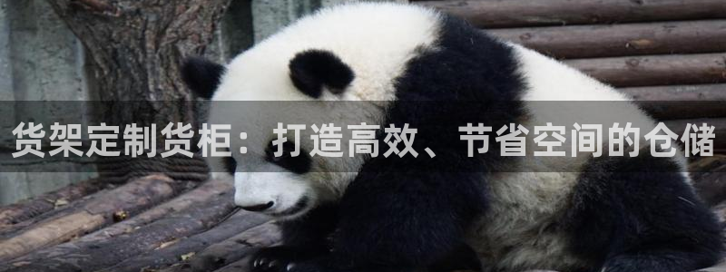 杏运注册登录