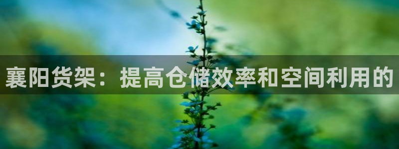 杏运体育登录