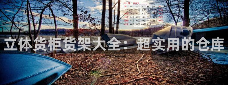 杏运平台招商：立体货柜货架大全：超实用的