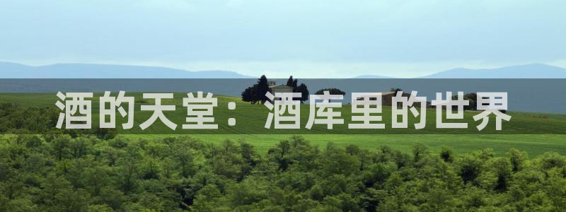 杏运注册平台：酒的天堂：酒库里的世界