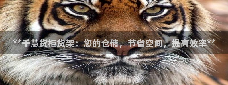 杏运体育网：**千慧货柜货架：您的仓储，
