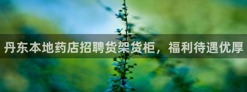 杏运汽车招商