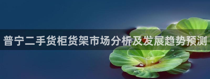 杏运体育网：普宁二手货柜货架市场分析及发