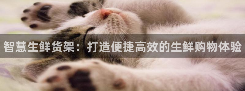 杏运平台官方网站