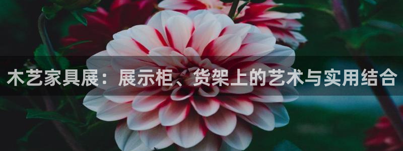 杏运娱乐平台注册地址