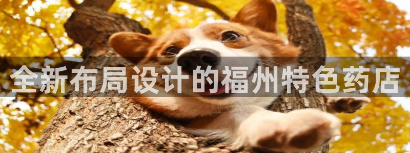 杏运娱乐怎么样