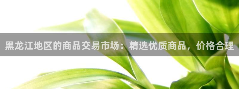 杏运新能源