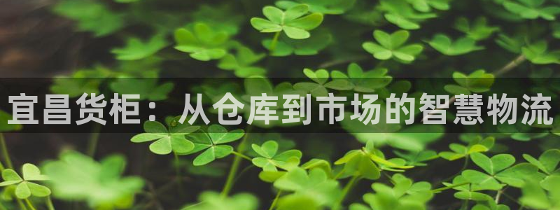 杏运平台官方网站