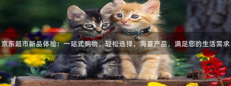 杏运注册登录：京东超市新品体验：一站式购