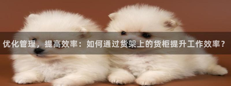 杏运体育app：优化管理，提高效率：如何