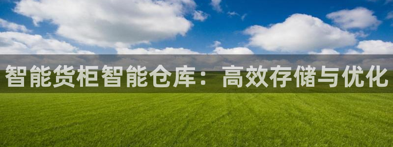 杏运平台代理：智能货柜智能仓库：高效存储