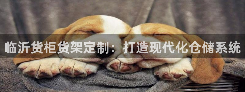 杏运体育娱乐