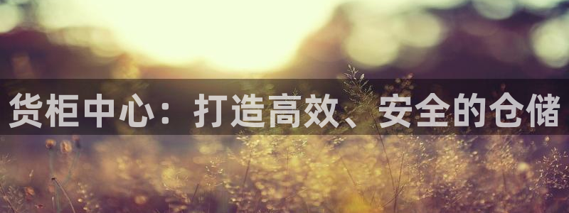 杏运娱乐平台注册地址：货柜中心：打造高效