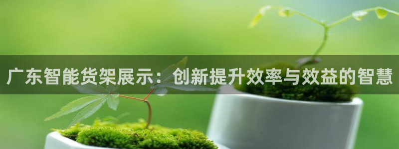杏运体育娱乐：广东智能货架展示：创新提升