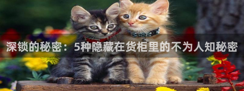 杏运体育平台