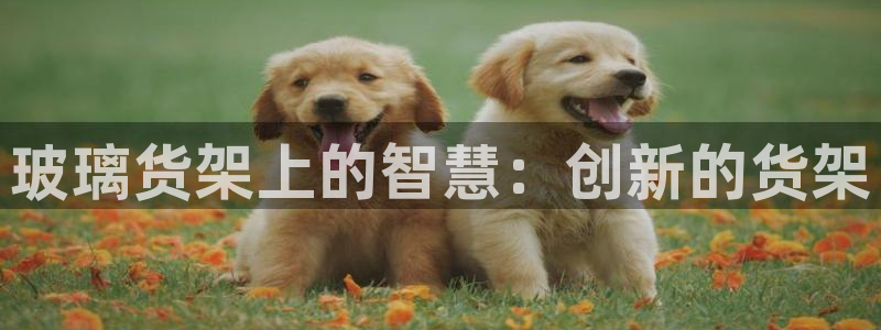 杏运汽车：玻璃货架上的智慧：创新的货架