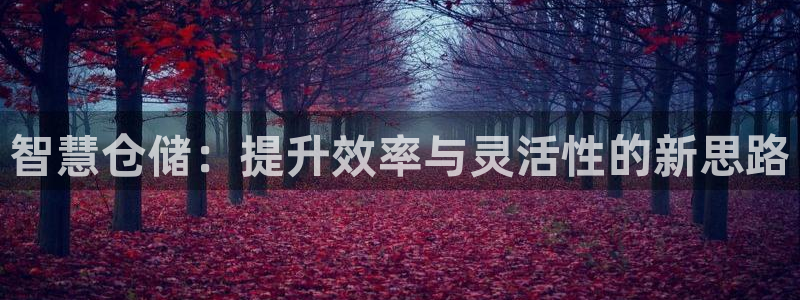 杏运代理：智慧仓储：提升效率与灵活性的新