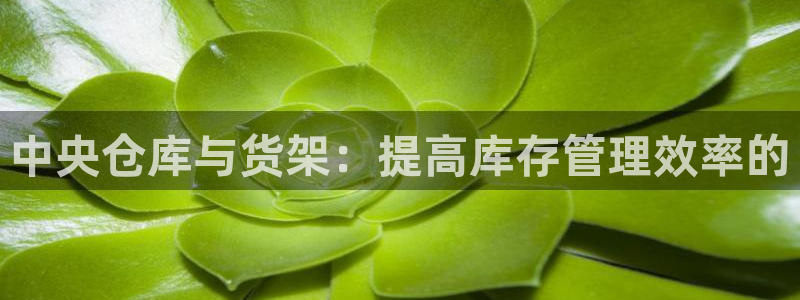 杏运体育官方网址登录：中央仓库与货架：提