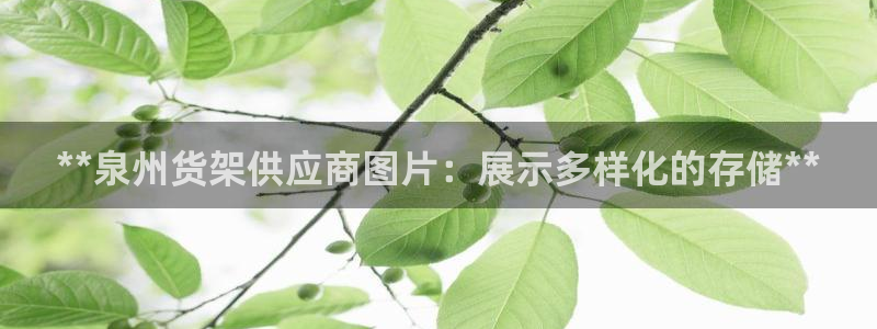 杏运体育官方网址